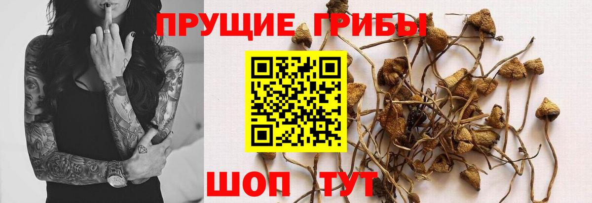 Джанкой  Псилоцибиновые грибы ЛСД  Вход с VPN 